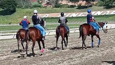 Último minuto: INH anuncia otro retiro para el ciclo no válido de la R29  Último minuto: INH anuncia otro retiro para el ciclo no válido de la R29