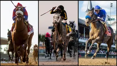 Cinco purasangres del Whitney Stakes han producido más de 20 millones de dólares Cinco purasangres del Whitney Stakes han producido más de 20 millones de dólares