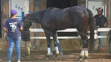 Retirado uno de los grandes favoritos del sábado en el Whitney Stakes  Retirado uno de los grandes favoritos del sábado en el Whitney Stakes