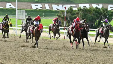 Los datos para ganar: Te revelamos los ejemplares con mucha fortaleza en La Rinconada  Los datos para ganar: Te revelamos los ejemplares con mucha fortaleza en La Rinconada