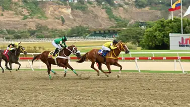 Cuidado con este ejemplar que vuelve a su distancia y ahora parte por fuera Cuidado con este ejemplar que vuelve a su distancia y ahora parte por fuera