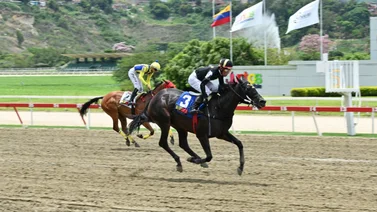 Yegua importada vuelve a la distancia que más le gusta y puede abrir el 5y6 el domingo