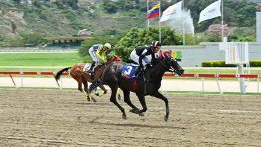 Yegua importada vuelve a la distancia que más le gusta y puede abrir el 5y6 el domingo Yegua importada vuelve a la distancia que más le gusta y puede abrir el 5y6 el domingo