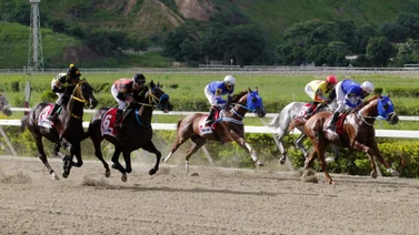 Favoritos de la cátedra para el 5y6 Nacional de la reunión N°29 en el hipódromo La Rinconada 