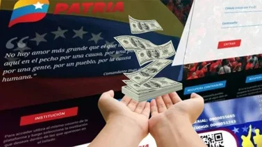 ¿Ya lo cobraste? Plataforma Patria deposita pago de 6.600 bs este 31 de julio