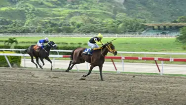 Yegua que partió mal en su última es el video en el 5y6 de este domingo en La Rinconada Yegua que partió mal en su última es el video en el 5y6 de este domingo en La Rinconada