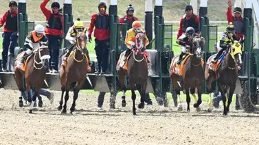 Atención: A esta hora conozca el dato más corrido que participa en la segunda válida del 5y6 dominical Atención: A esta hora conozca el dato más corrido que participa en la segunda válida del 5y6 dominical