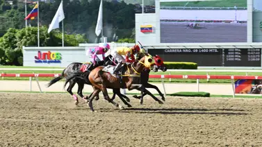 Presentado de Riccardo D’Angelo vuelve a su lote y puede salir de perdedor el domingo Presentado de Riccardo D’Angelo vuelve a su lote y puede salir de perdedor el domingo