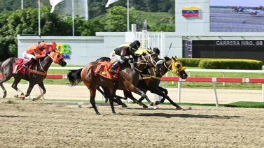 A la tercera es la vencida: El dato atrasado del domingo buscará cerrar el 5y6 nacional 