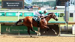 Hizo historia: ¡El impresionante récord del semental Into Mischief que sacude el hipismo mundial!