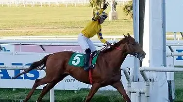 De Maroñas a Saratoga: El campeón Obstacle desafía este sábado el Suburban Stakes (Gr2) De Maroñas a Saratoga: El campeón Obstacle desafía este sábado el Suburban Stakes (Gr2)