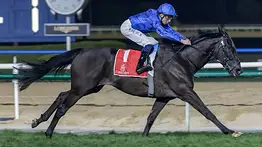 El multicampeón Rebel's Romance regresa a la acción en Newmarket y apunta a Saratoga