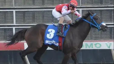 Camino a la inmortalidad: Korean’s Girl sumó su segunda gema en el Hipódromo V Centenario Camino a la inmortalidad: Korean’s Girl sumó su segunda gema en el Hipódromo V Centenario