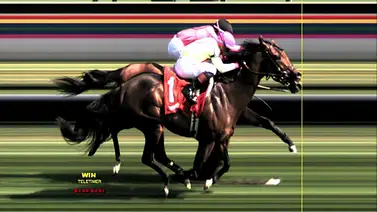Zulu Kingdom y Mi Bago empatan en el Kelso (G3) de Saratoga Zulu Kingdom y Mi Bago empatan en el Kelso (G3) de Saratoga