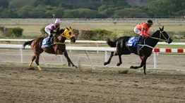 Hazaña en el hipismo criollo: Hace 12 años fue la gesta imbatible de una nueva Triple Coronada venezolana