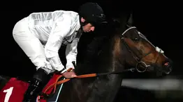 Conoce las razones por la que este ejemplar británico no competirá en el Sky Bet Ebor Festival 2026