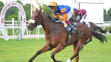 Las sedas de Repole Stable brillan en la tierra de sus ancestros gracias a Niente Scuse Las sedas de Repole Stable brillan en la tierra de sus ancestros gracias a Niente Scuse