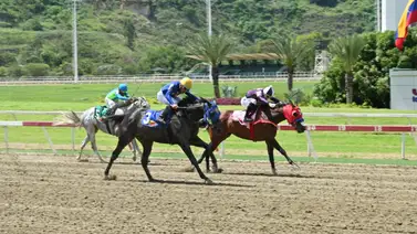 ¿Cuándo este caballo salga a la pista ya ganó? El apronte que enciende las expectativas en Coche ¿Cuándo este caballo salga a la pista ya ganó? El apronte que enciende las expectativas en Coche