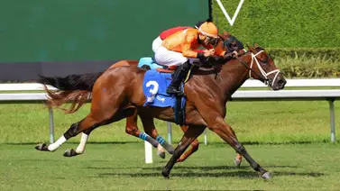 Leonel Reyes Ramos cerró la semana de carreras en Gulfstream Park con dos victorias Leonel Reyes Ramos cerró la semana de carreras en Gulfstream Park con dos victorias