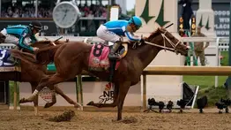 Subastado el primer producto de un ganador del Kentucky Derby (G1) con dupla venezolana en Fasig-Tipton