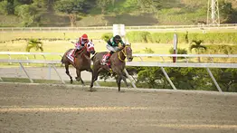 Purasangre ganador de un clásico GI vuelve a la pista después de más de un año en La Rinconada