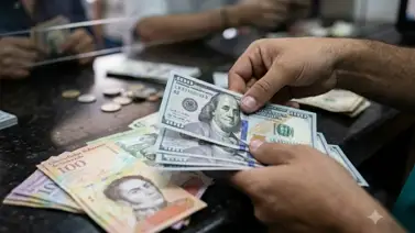 Precio del dólar y euro BCV para este jueves 23 de julio Precio del dólar y euro BCV para este jueves 23 de julio