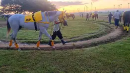  Datos de última hora para el Hipódromo Nacional de Valencia 25-7-2026 