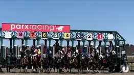La jugada del día: Meridiano te revela el dato secreto para la quinta carrera en Parx Racing de este jueves 23-7-2026