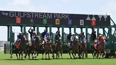 Pronósticos Gulfstream Park: picks gratis y el dato clave para el sábado 25 de julio Pronósticos Gulfstream Park: picks gratis y el dato clave para el sábado 25 de julio