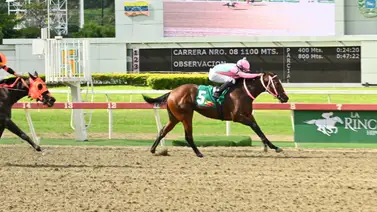 Jockey campeón de meeting es sancionado dos veces en La Rinconada Jockey campeón de meeting es sancionado dos veces en La Rinconada