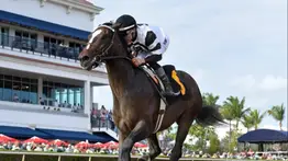 Atleta Meridiano 2025 va por el Curlin Stakes en Saratoga