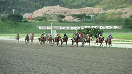 Sangre de Campeona: Debuta una hija del gran Jorge Zeta en el 5y6 este domingo