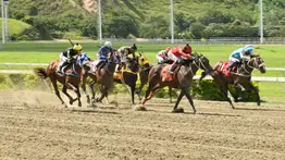 La lupa en el 5y6: Los números de "Speed Rating" a seguir en la trigésima cartelera de Caracas