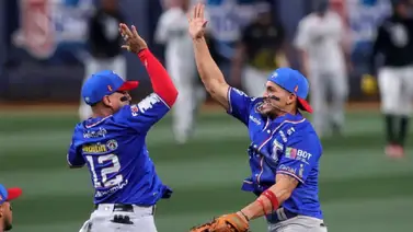 LVBP: Tiburones presume un jardín de lujo con talento, velocidad y profundidad para la 2026-2027 LVBP: Tiburones presume un jardín de lujo con talento, velocidad y profundidad para la 2026-2027