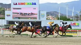 La Rinconada: Favoritos de la cátedra para el 5y6 Nacional de la reunión N°30