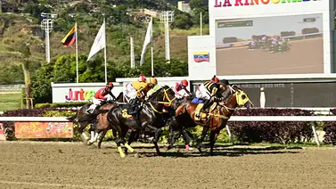 Cuidado: El mejor ajuste de la primera válida no aparece en las marcas del 5y6 de La Rinconada Cuidado: El mejor ajuste de la primera válida no aparece en las marcas del 5y6 de La Rinconada