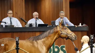Un entrenado por Bob Baffert que costó $2.2 millones debutará con cinco años en Del Mar Un entrenado por Bob Baffert que costó $2.2 millones debutará con cinco años en Del Mar