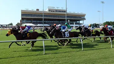 José Francisco D’Angelo va por su primer Stakes en este hipódromo de USA José Francisco D’Angelo va por su primer Stakes en este hipódromo de USA