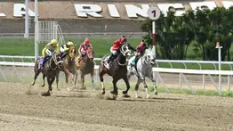 Retirada yegua importada que iba en una de las carreras no válidas del domingo