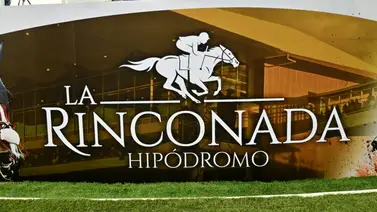 Elecciones en La Rinconada: Así quedó la nueva junta directiva de la Fundación de Propietarios Hípicos de Venezuela Elecciones en La Rinconada: Así quedó la nueva junta directiva de la Fundación de Propietarios Hípicos de Venezuela