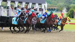 Este es el cuadro sugerido de bajo costo para el 5y6 nacional del domingo en La Rinconada