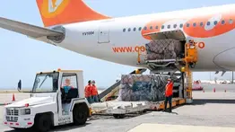Maiquetía reactivará sus operaciones de carga aérea: Fecha de reanudación