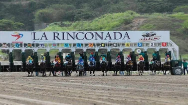 Ejemplar que tiene 245 días sin competir puede ser favorito en el 5y6 de La Rinconada