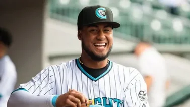 Este jugador de los Leones del Caracas ya suma 16 jonrones en Ligas Menores (+Datos)