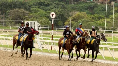 Los favoritos de la cátedra que tienes que ver antes de sellar están aquí