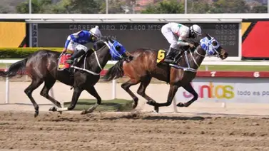 Así queda el ajuste de la Línea de Gaceta Hípica para la reunión 30 en La Rinconada Así queda el ajuste de la Línea de Gaceta Hípica para la reunión 30 en La Rinconada