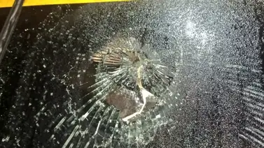 ¡Lamentable! Así quedó el autobús del Deportivo Táchira luego de ser vandalizado en Barinas (+Fotos) ¡Lamentable! Así quedó el autobús del Deportivo Táchira luego de ser vandalizado en Barinas (+Fotos)