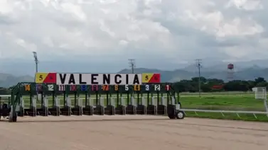 Datos de Última Hora para el Hipódromo de Valencia 27-01-2024 Datos de Última Hora para el Hipódromo de Valencia 27-01-2024