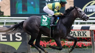 ¡Tragedia hípica! Así fue el triste final de la yegua Maple Leaf Mel en la pista de Saratoga