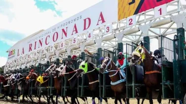 Datos de última hora para La Rinconada 6-8-2023
